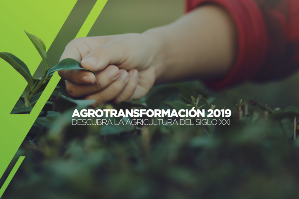 Agrotransformación 2019