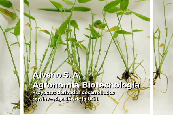 Agronomìa-Biotecnología