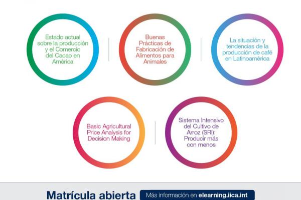 Cursos virtuales: Oferta Setiembre / Octubre