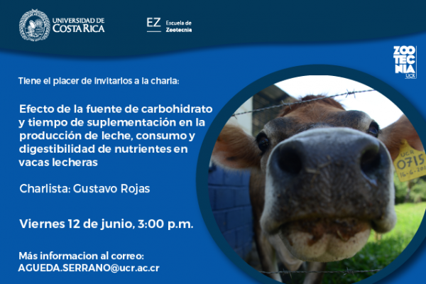 Charla: Efecto de la fuente de carbohidrato y tiempo de suplementación en la producción de leche, consumo y digestibilidad de nutrientes en vacas lecheras