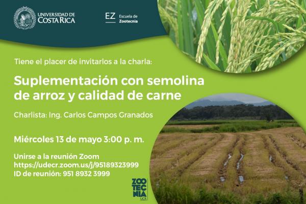 Charla virtual: 