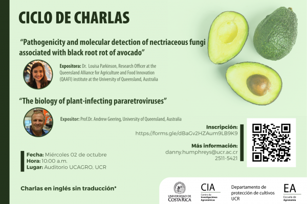 Charlas en inglés 