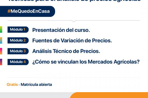 Charlas virtuales 