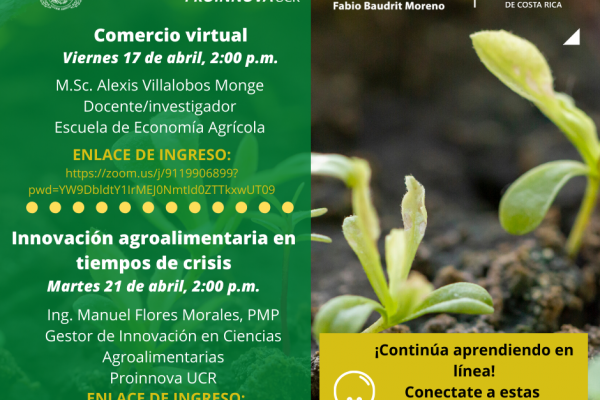 Charlas virtuales gratuitas