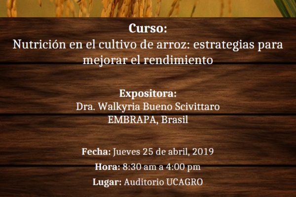Curso: Nutrición en el cultivo de arroz: estrategias para mejorar el rendimiento