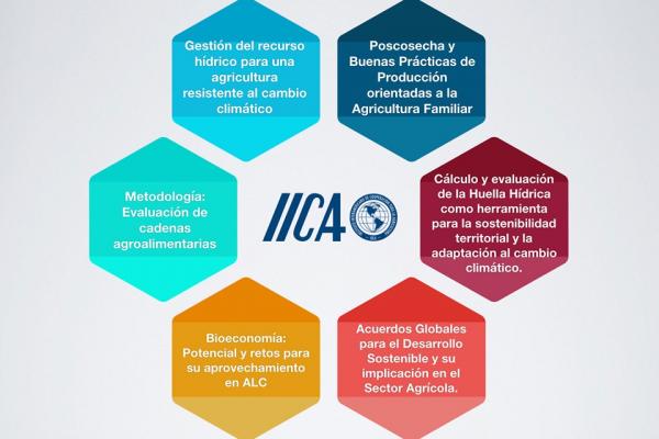 Cursos virtuales 