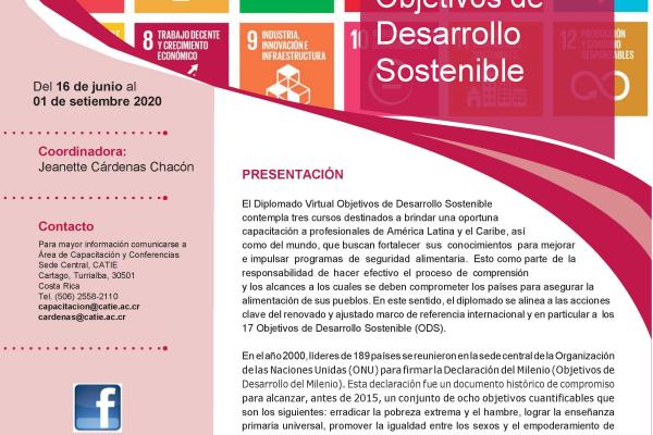 Diplomado Virtual Objetivos de Desarrollo Sostenible
