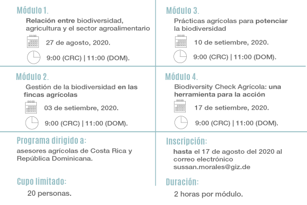 III Programa virtual de capacitación
