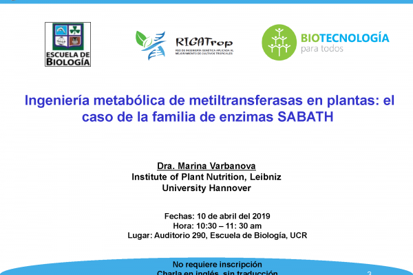 Ingeniería metabólica de metiltransferasas en plantas: el caso de la familia de enzimas SABATH