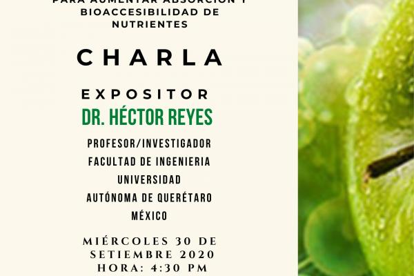 Nanopartículas y nanoemulsiones como acarreaores para aumentar la absorción y bioaccesibilidad de nutrientes