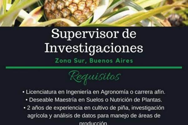 Oportunidad laboral