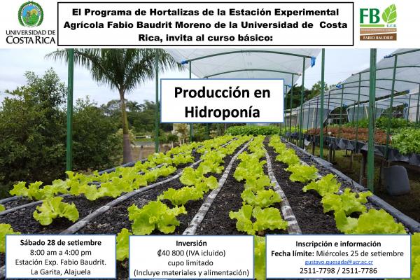 Producción en Hidroponía 