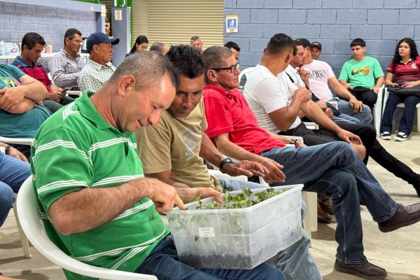 Proyecto promueve reducir pérdidas en la producción de frijol y fortalecer la seguridad alimentaria del país