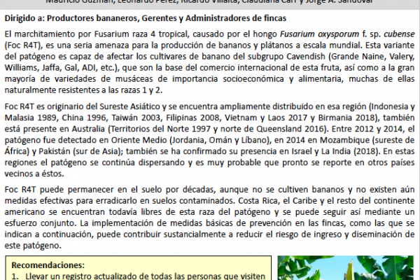 Recomendaciones para prevenir el ingreso de Foc R4T en fincas bananeras de Costa Rica