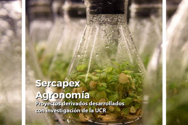 Sercapex Agronomía