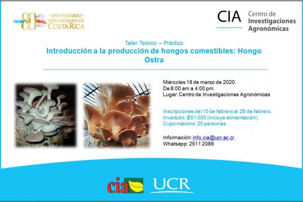 Taller - Introducción a la producción de hongos comestibles: Hongo Ostra