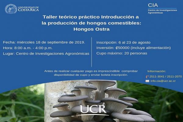 Taller Teórico Práctico 