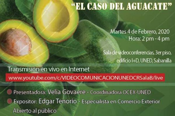 Video Conferencia - 