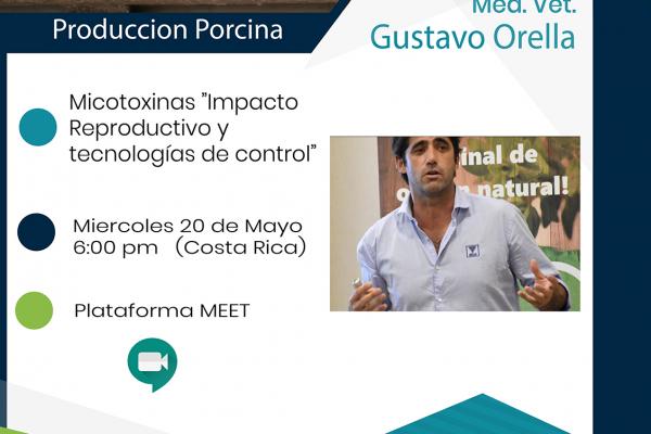 Webinar: 